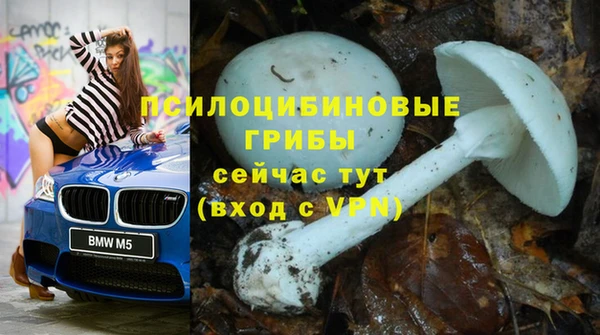 шишки Володарск