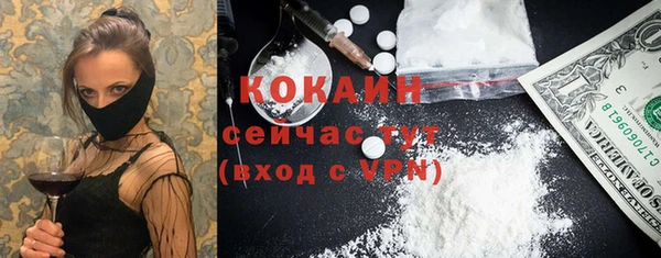 эйфоретик Вяземский