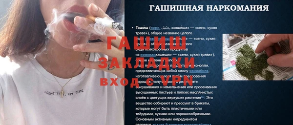 PSILOCYBIN Горняк