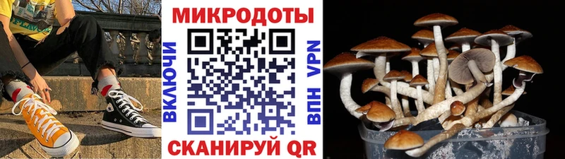 Галлюциногенные грибы Psilocybine cubensis  закладки  Джанкой 